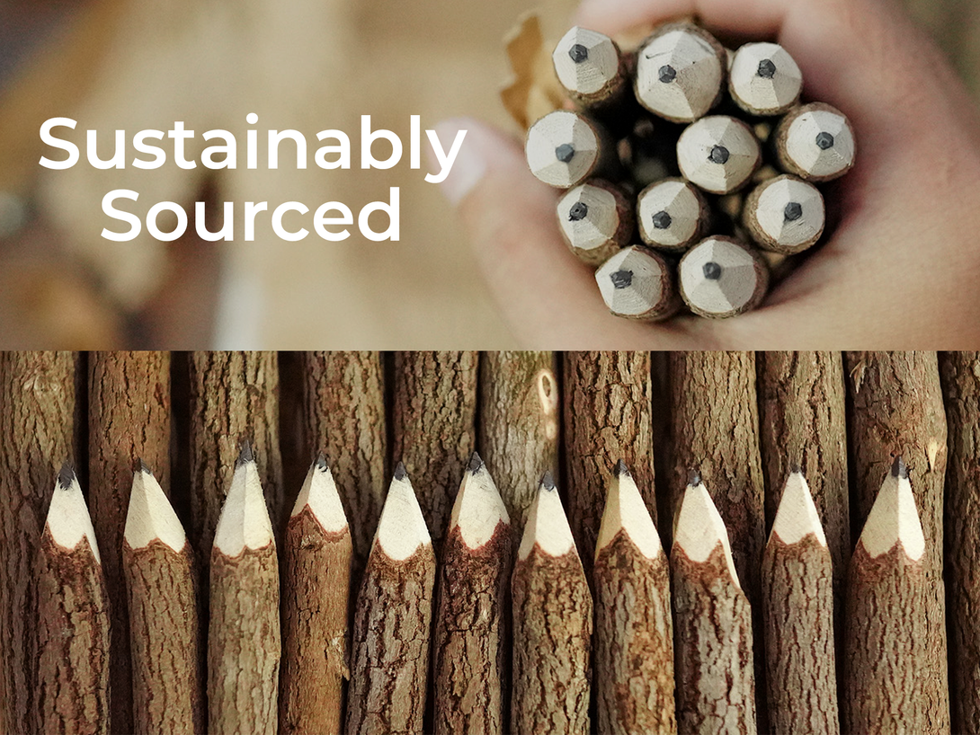 Graphite Wooden Tree Rustic Twig Pencils Unique Birch of 12 Camping ...