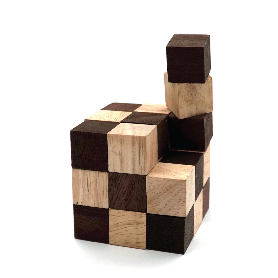 Snake Puzzle Cube and 3D Puzzles for Adults in Hands with Wooden Designs